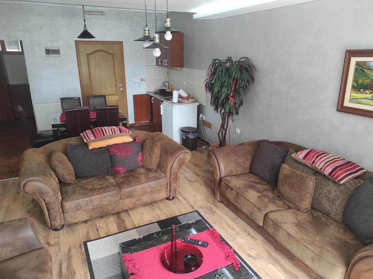 Apartments Vila Knez Zlatibor Buitenkant foto