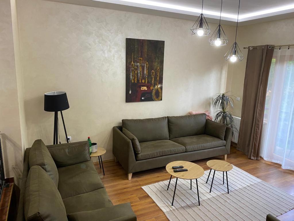Apartments Vila Knez Zlatibor Kamer foto