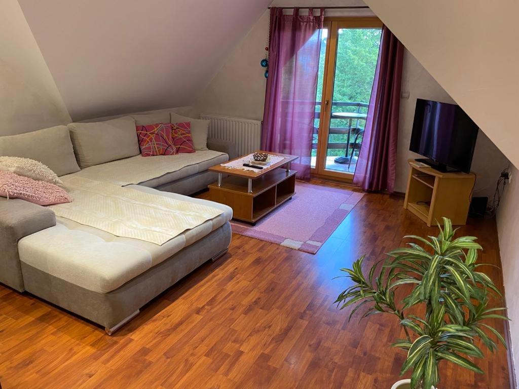 Apartments Vila Knez Zlatibor Kamer foto