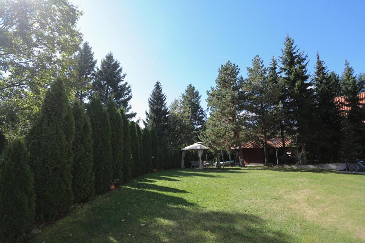 Apartments Vila Knez Zlatibor Buitenkant foto